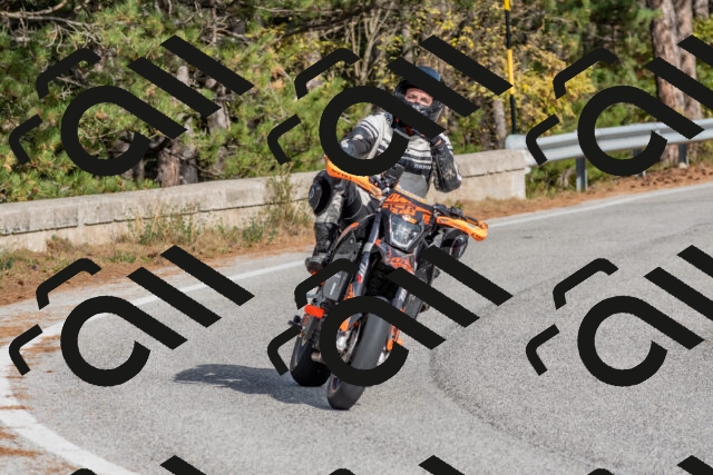 202511021232-DSC_9085_c4_