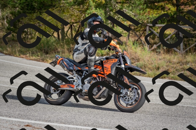 202511021232-DSC_9087_c4_