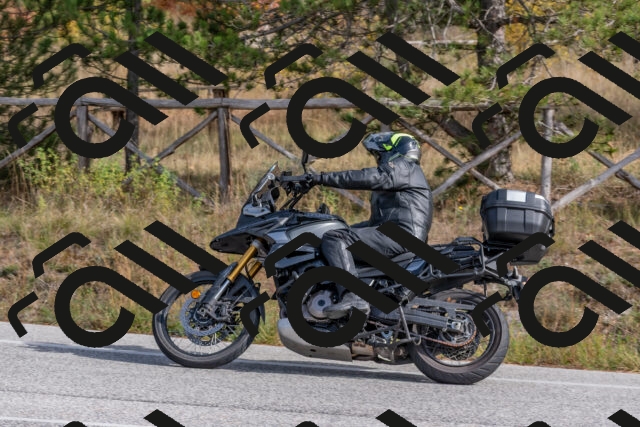 202511021232-DSC_9096_c4_