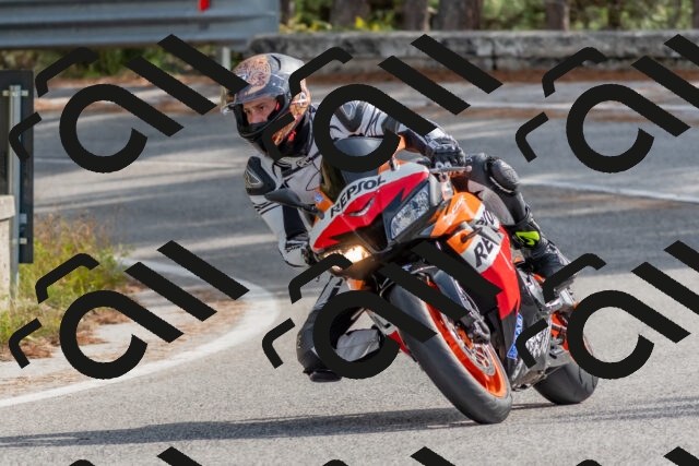 202511021233-DSC_9103_c4_