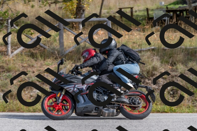 202511021233-DSC_9109_c4_