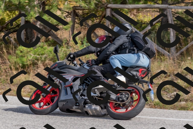 202511021233-DSC_9110_c4_