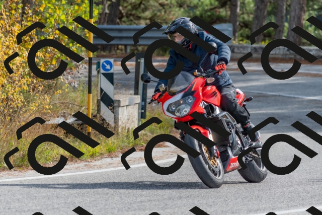 202511021234-DSC_9111_c4_