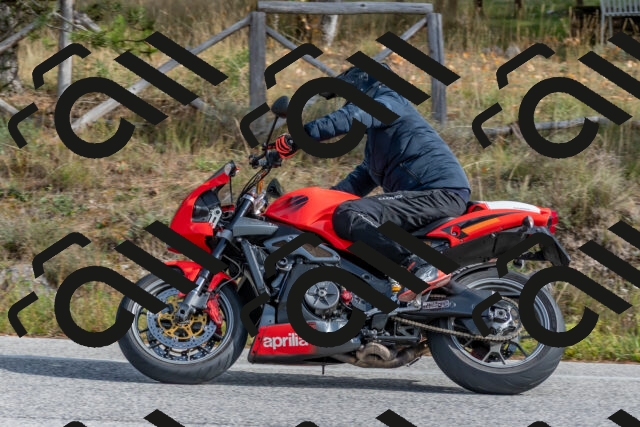 202511021234-DSC_9113_c4_