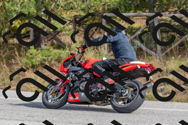 202511021234-DSC_9114_c4_