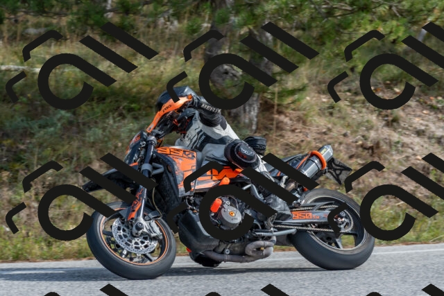 202511021235-DSC_9117_c4_