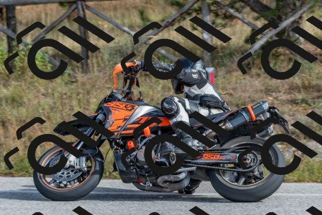 202511021235-DSC_9118_c4_