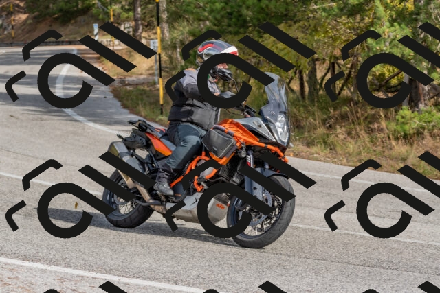 202511021237-DSC_9126_c4_