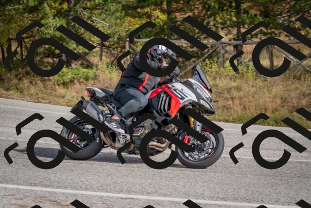 202511021237-DSC_9129_c4_