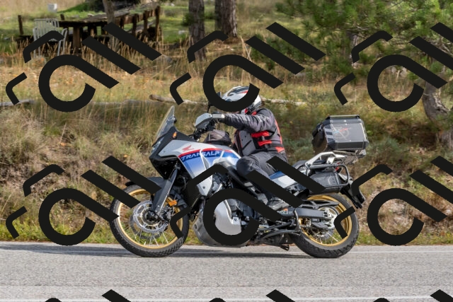 202511021237-DSC_9131_c4_