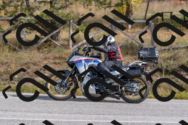 202511021237-DSC_9132_c4_