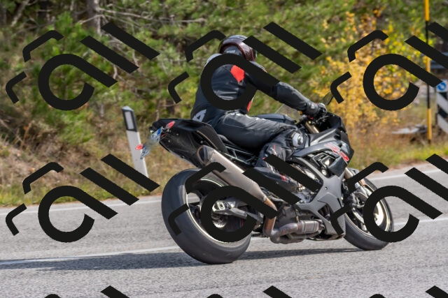 202511021237-DSC_9135_c4_