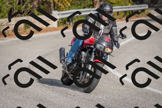 202511021237-DSC_9137_c4_