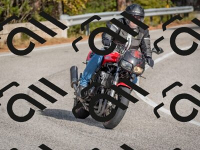 202511021237-DSC_9137_c4_