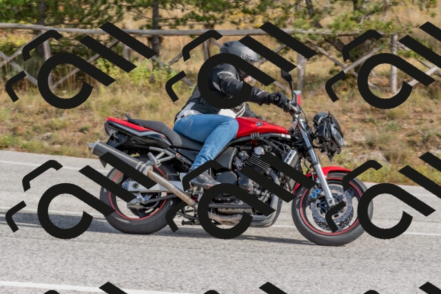 202511021237-DSC_9139_c4_