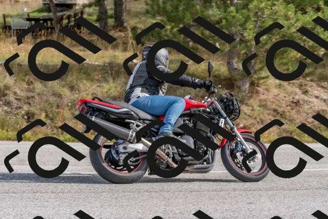 202511021237-DSC_9140_c4_