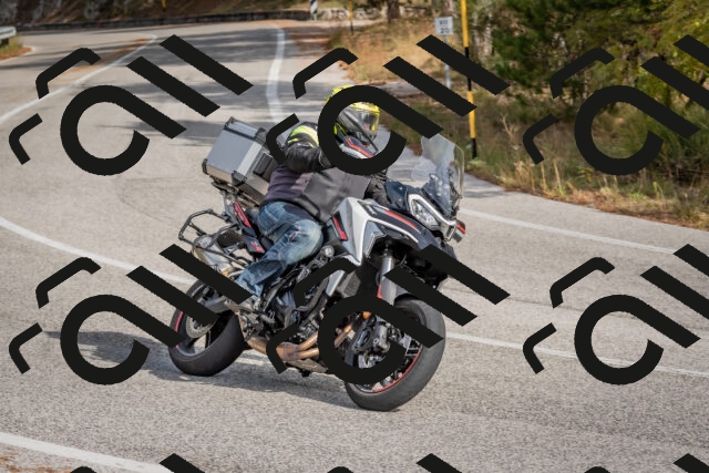 202511021240-DSC_9142_c4_