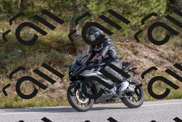 202511021240-DSC_9147_c4_