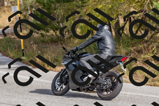 202511021240-DSC_9149_c4_