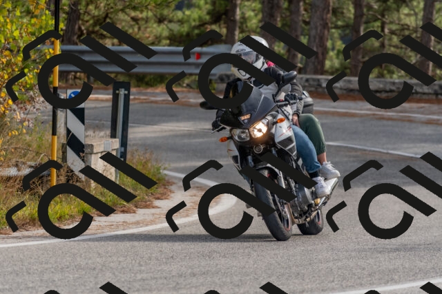 202511021241-DSC_9151_c4_