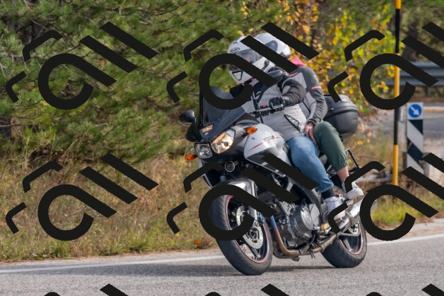 202511021241-DSC_9152_c4_