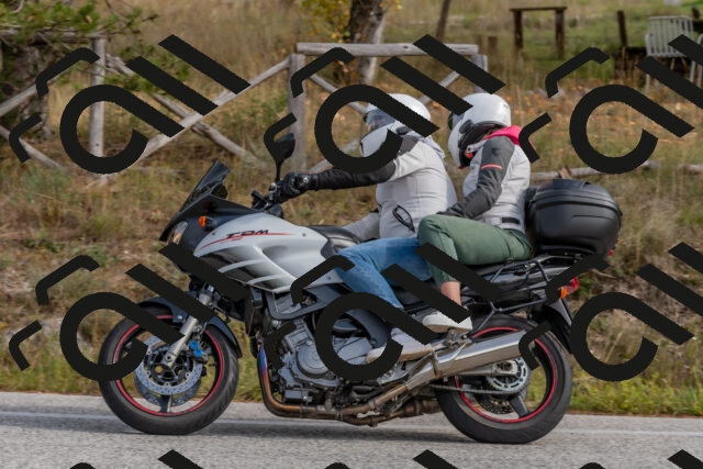 202511021241-DSC_9154_c4_