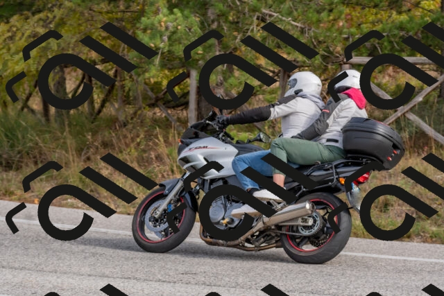 202511021241-DSC_9155_c4_