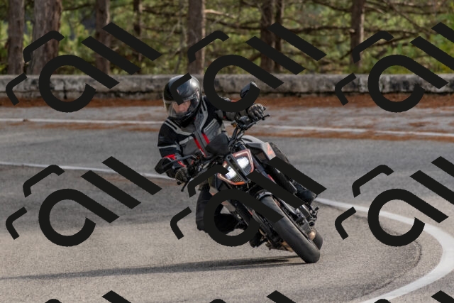 202511021242-DSC_9156_c4_