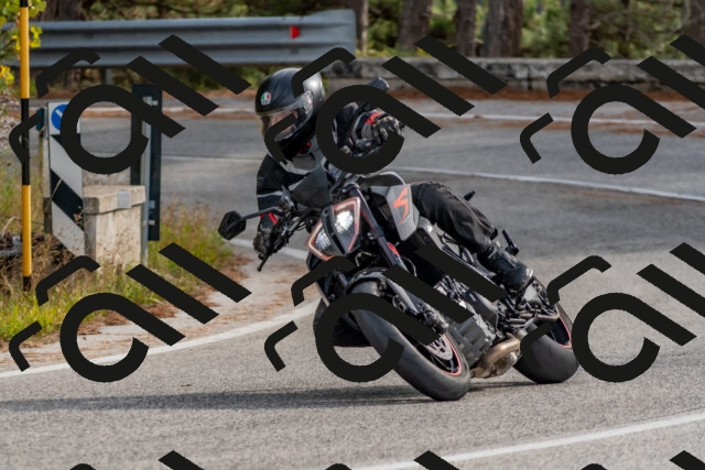 202511021242-DSC_9157_c4_