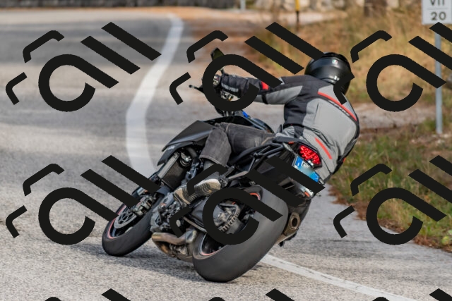 202511021242-DSC_9161_c4_