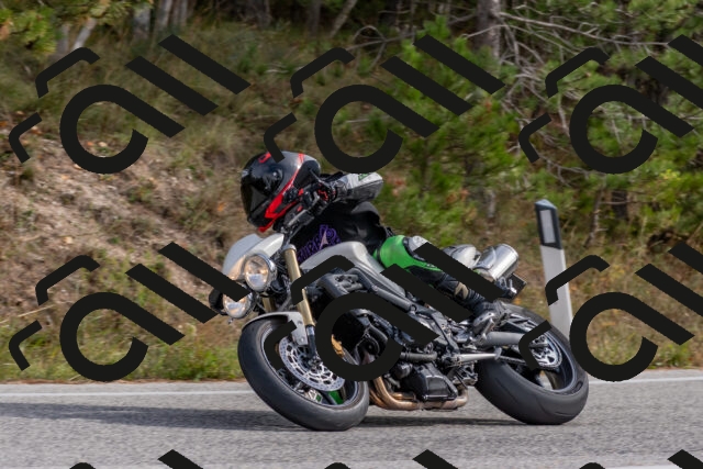 202511021242-DSC_9167_c4_