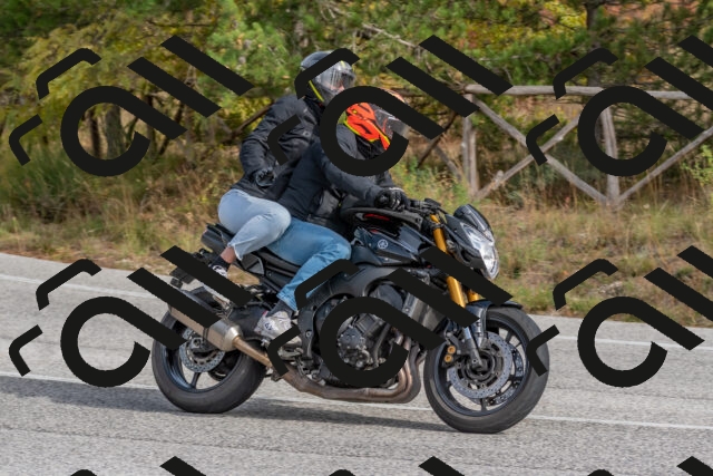 202511021245-DSC_9174_c4_