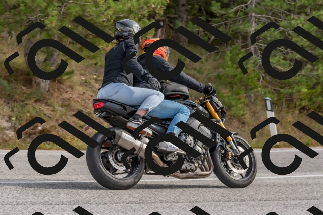 202511021245-DSC_9176_c4_