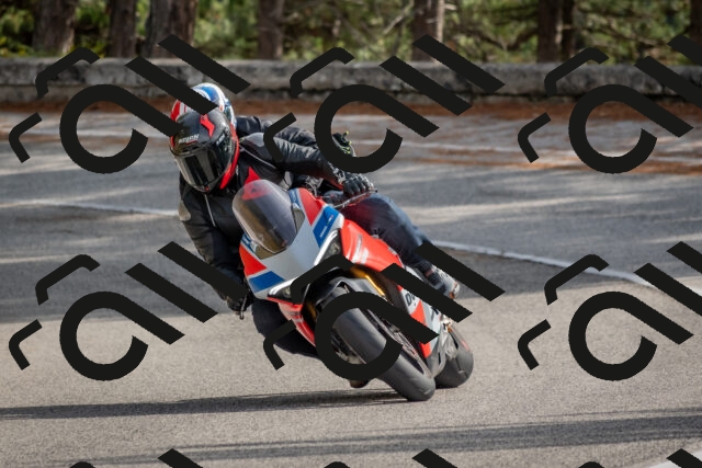 202511021250-DSC_9190_c4_