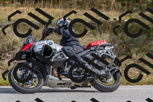 202511021250-DSC_9197_c4_