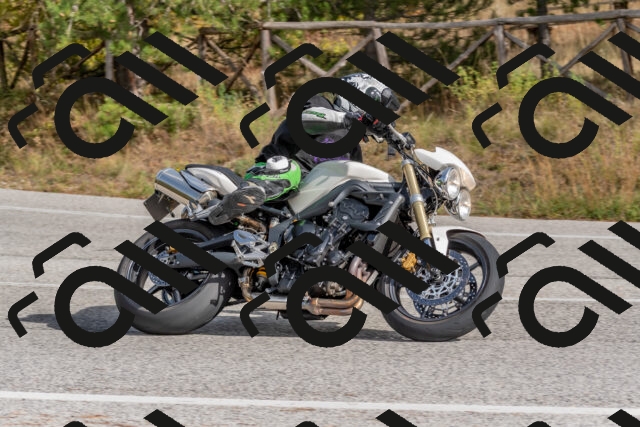 202511021251-DSC_9203_c4_