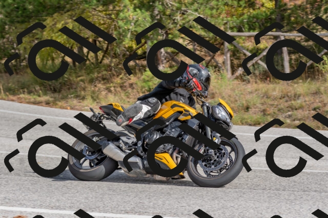 202511021251-DSC_9206_c4_