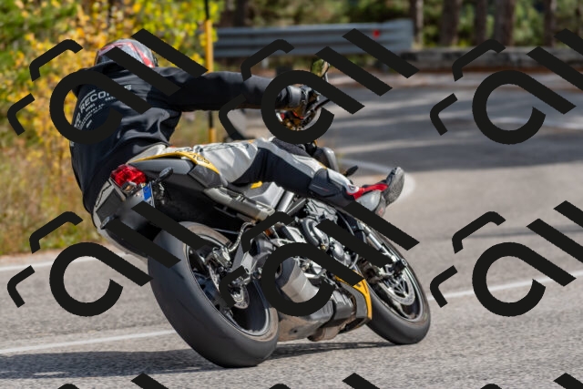 202511021251-DSC_9208_c4_