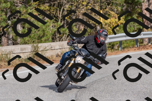 202511021253-DSC_9219_c4_