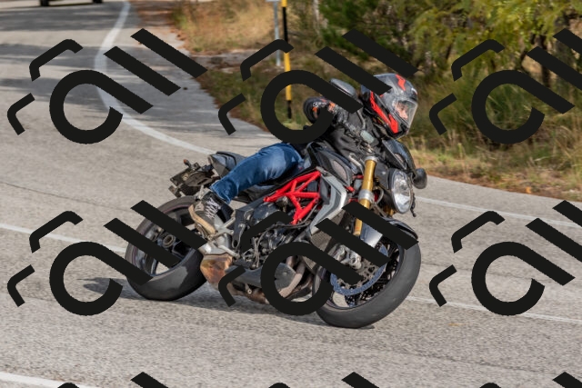 202511021253-DSC_9221_c4_