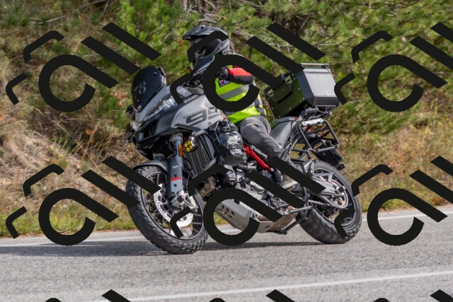 202511021253-DSC_9222_c4_