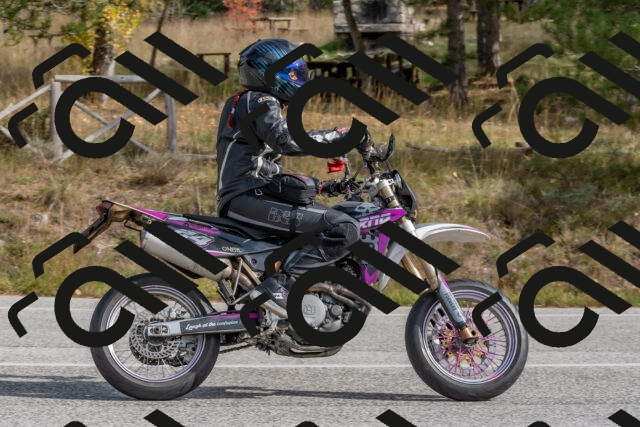 202511021256-DSC_9230_c4_