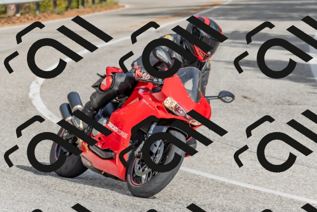 202511021256-DSC_9232_c4_