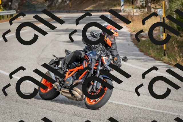 202511021256-DSC_9234_c4_