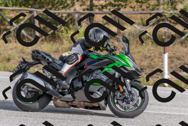 202511021256-DSC_9237_c4_