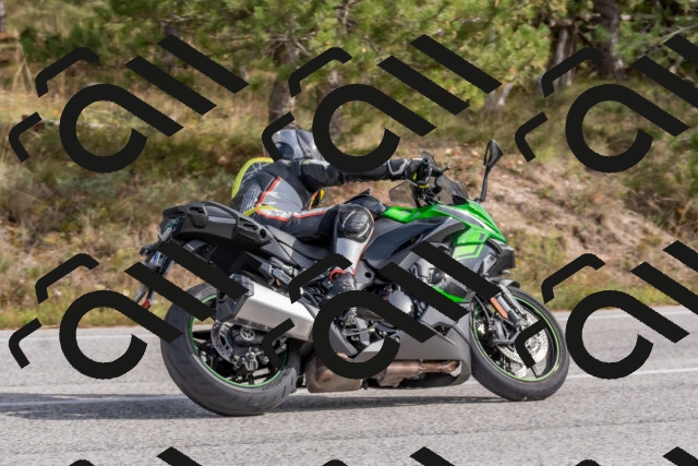 202511021256-DSC_9239_c4_