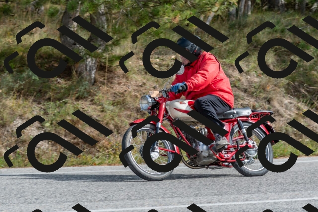 202511021257-DSC_9240_c4_