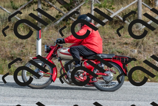 202511021257-DSC_9242_c4_