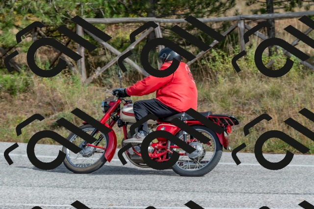 202511021257-DSC_9243_c4_