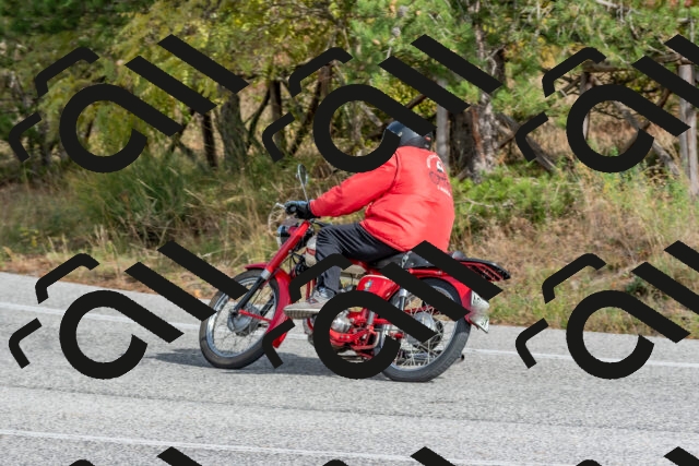 202511021257-DSC_9244_c4_